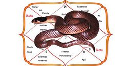 Kaal Sarp Yog Astrology Consultancy